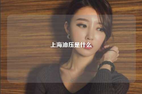 上海油压是什么