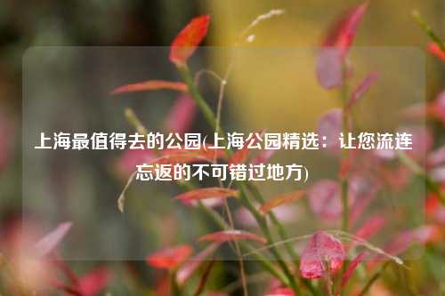 上海最值得去的公园(上海公园精选：让您流连忘返的不可错过地方)