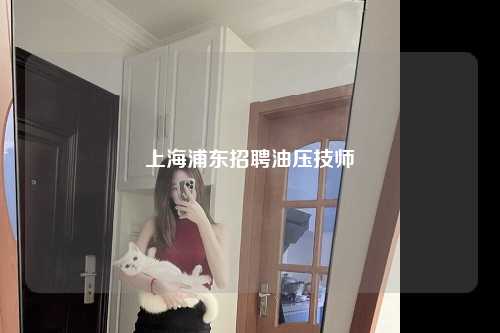 上海浦东招聘油压技师