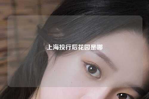 上海投行后花园是哪