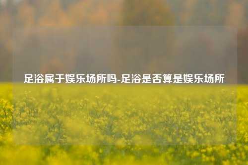 足浴属于娱乐场所吗-足浴是否算是娱乐场所