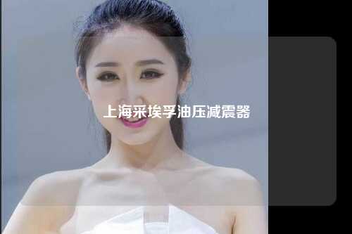 上海采埃孚油压减震器