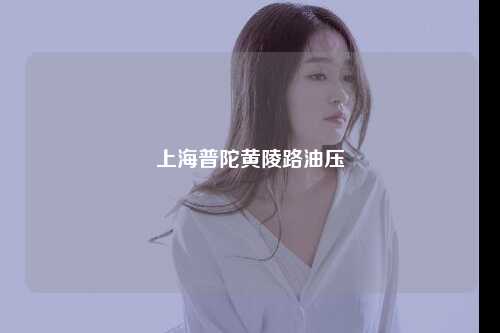 上海普陀黄陵路油压