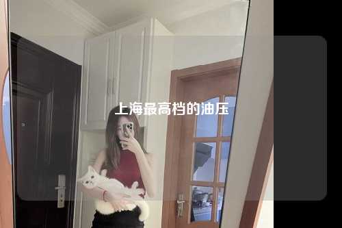 上海最高档的油压